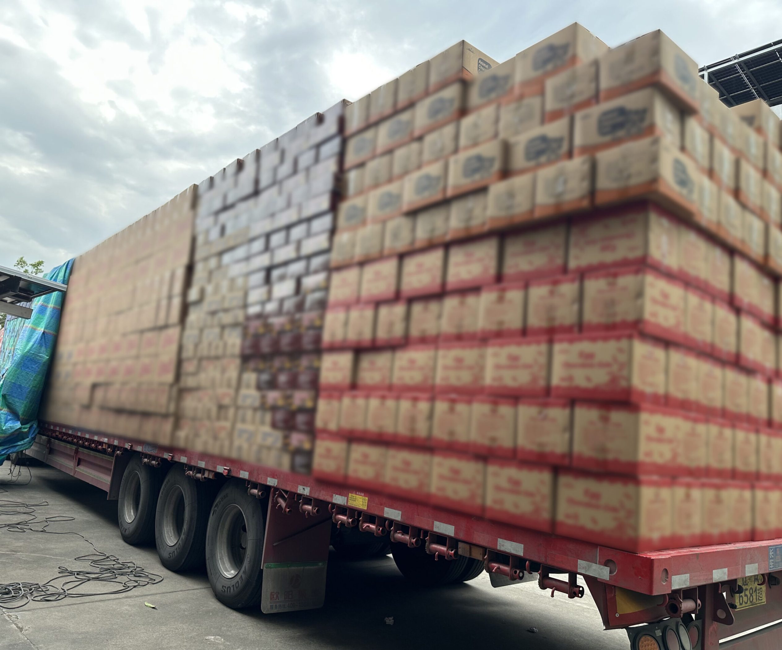 2025_12_14_14_50_IMG_9283