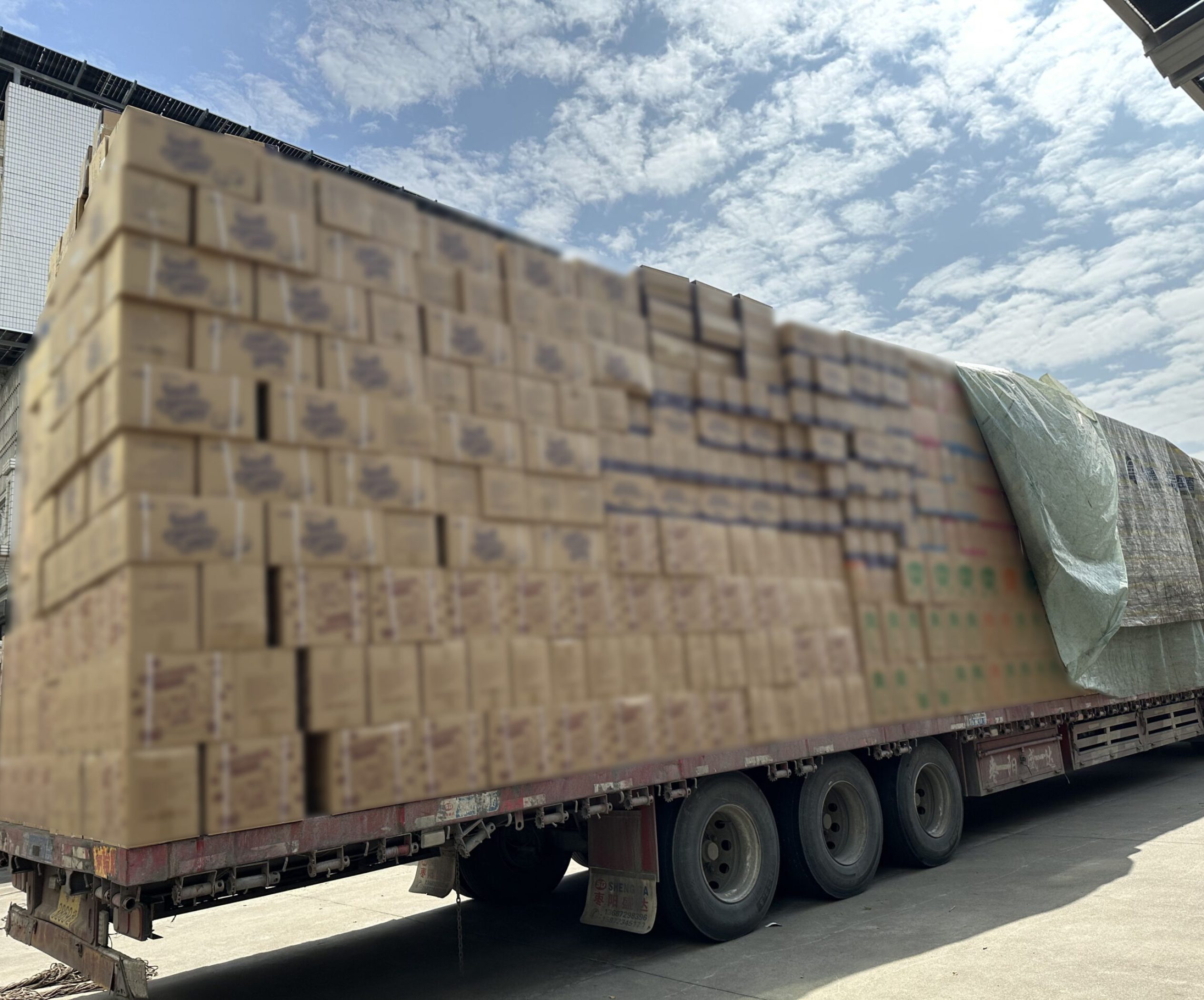 2026_02_04_11_13_IMG_1456